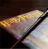 Shen-Men-Feng-Shui-Harry-Potter-wand